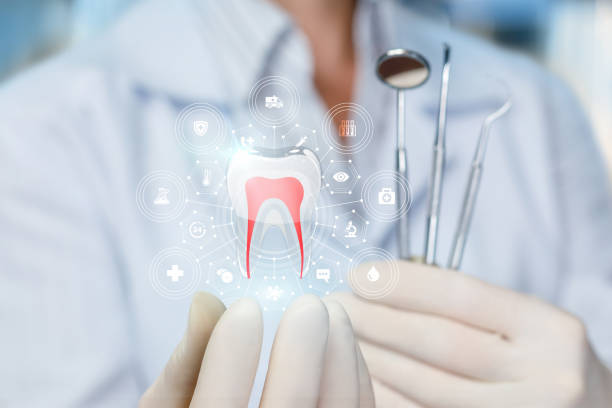 Best Full Mouth Reconstruction  in Yorkville, NY